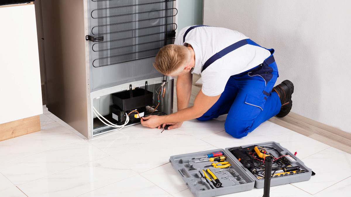 Hitachi Refrigerator Repair Service In Anand Niketan  